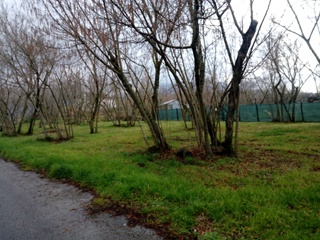 Terreno  agricolo  avellino semicentrale