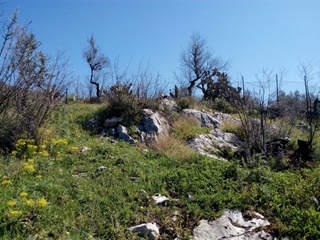 Terreno con casolare abitabile