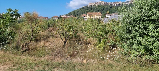 Terreno agricolo in vendita in via ponte san marco