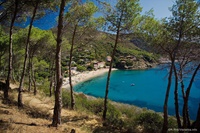 spiaggia-di-morcone-elba