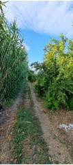 Terreno agricolo in zona catenelle nei pressi del lago di fondi