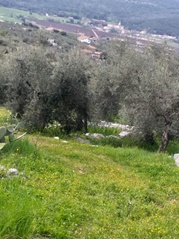 Terreno agricolo in vendita a sonnino