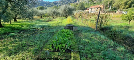 Terreno agricolo a monte san biagio