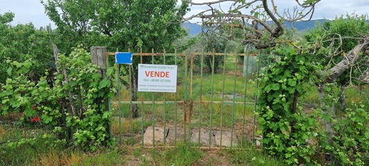 Terreno agricolo via portaturo