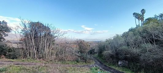 Casa singola con 500 mq di terreno