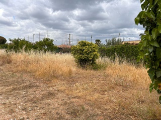 Terreno a lido di noto