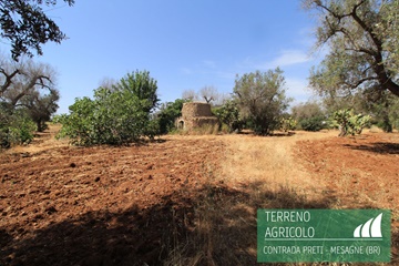 Caratteristico trullo in contrada preti