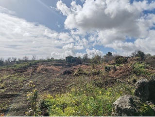 Terreno di 2.3 ettari con rustici