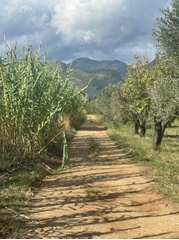 Terreno agricolo  inmonte san biagio