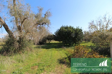 Terreno agricolo contrada vasapulli